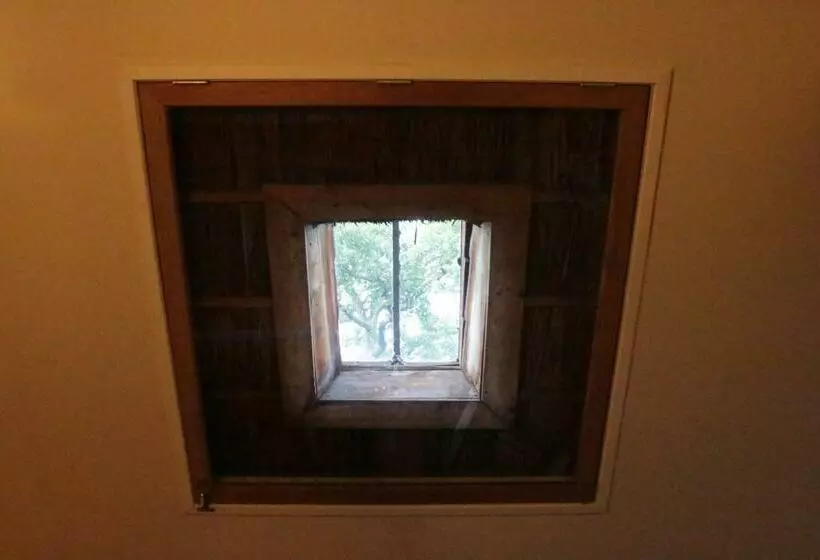 ベッドアンドブレックファースト Hoeve Op Vollenhof