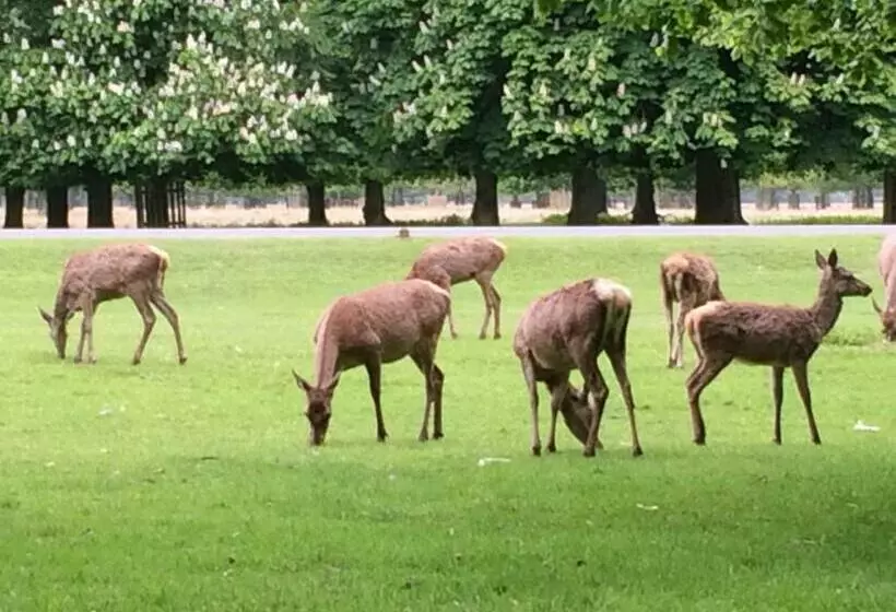 Aamiaismajoitus (B&B) Old Station Gardens, Sw London