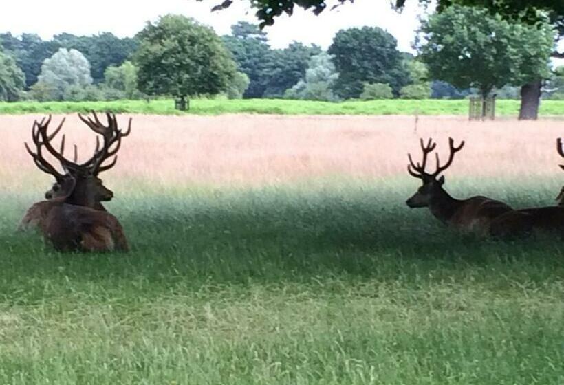 ベッドアンドブレックファースト Old Station Gardens, Sw London