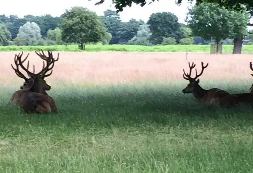 Aamiaismajoitus (B&B) Old Station Gardens, Sw London