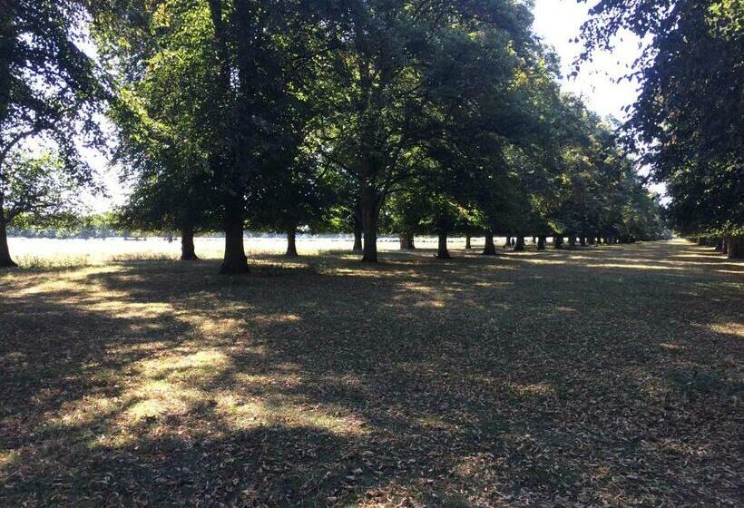 ベッドアンドブレックファースト Old Station Gardens, Sw London