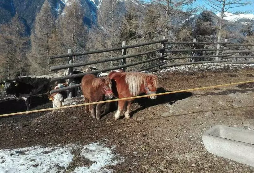 ホテル Bichlerhof