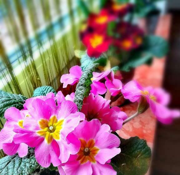 بنسيون Gästehaus Anna