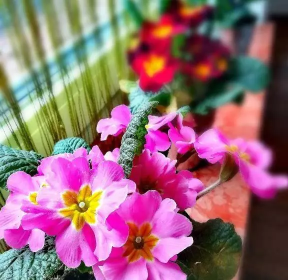 ペンション Gästehaus Anna