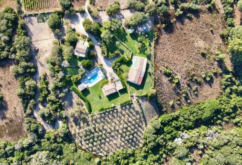 膳宿费 Podere Spartaco San Pantaleo