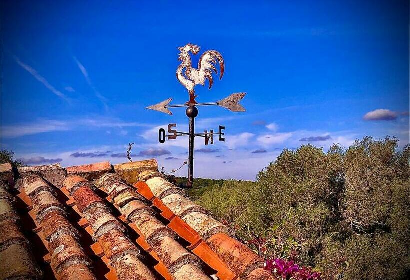 膳宿费 Podere Spartaco San Pantaleo