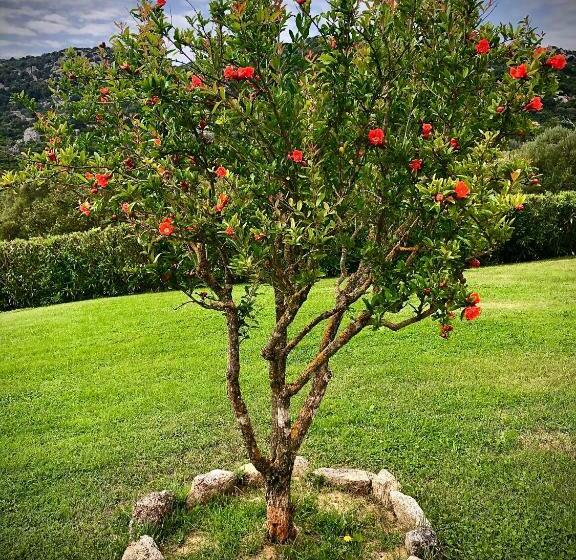 膳宿费 Podere Spartaco San Pantaleo