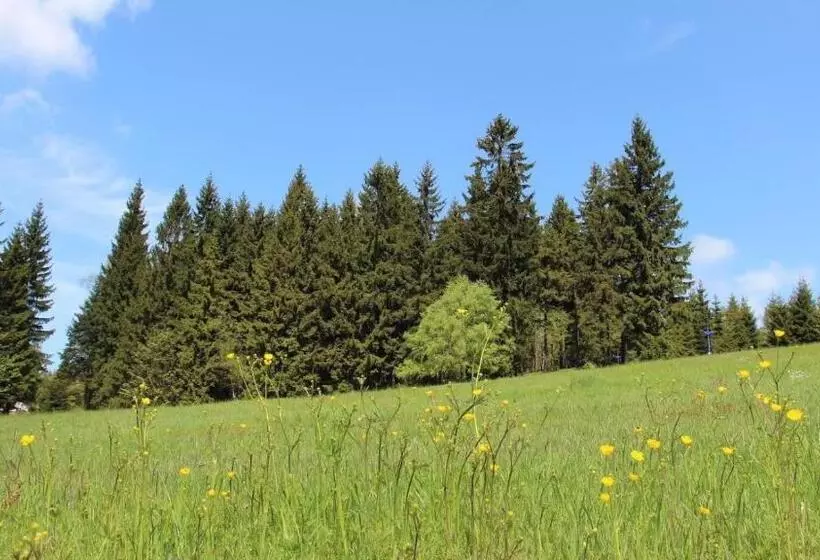 پانسیون Horská Vila Wander