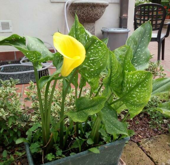 צימר Le Motelle   Camera 30