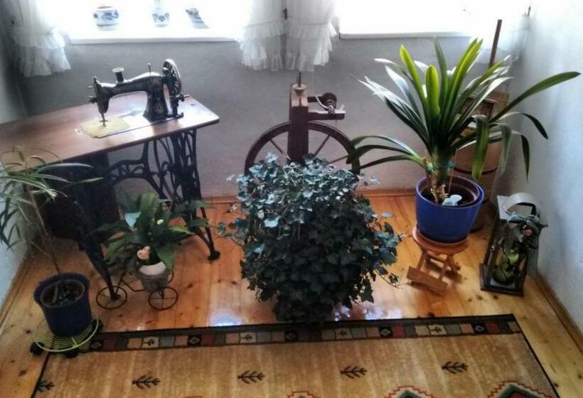 ベッドアンドブレックファースト Gästehaus Schöpf Elsa