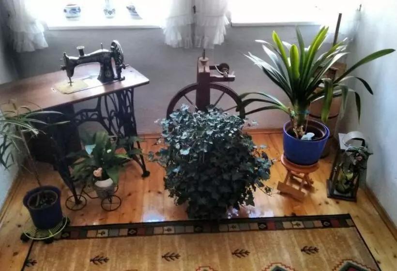 ベッドアンドブレックファースト Gästehaus Schöpf Elsa