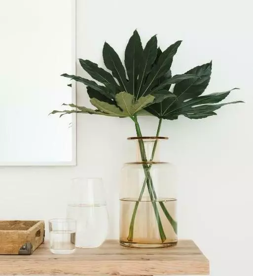 Aamiaismajoitus (B&B) O Lugar