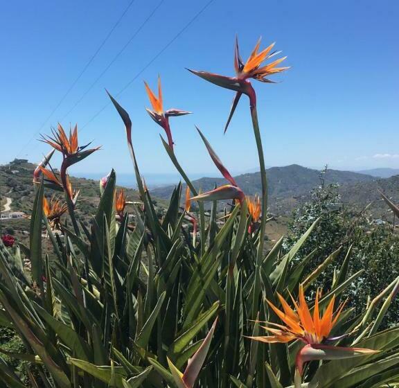 Casa B Bed & Breakfast, Adults Recommended