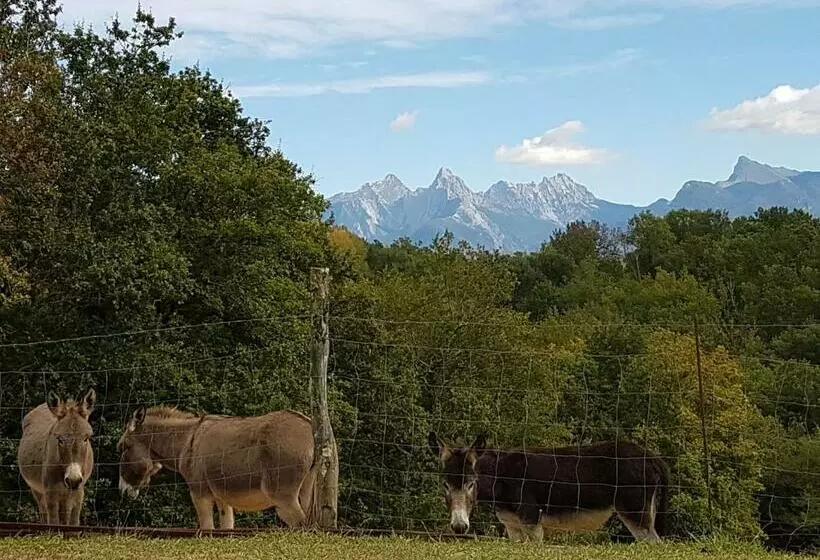 Hotelli Agriturismo La Selva