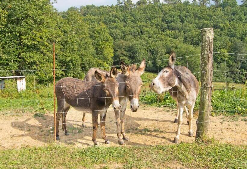 호텔 Agriturismo La Selva