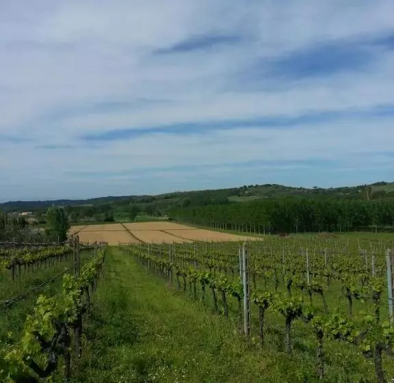 ホテル Podere Chiasso Gherardo