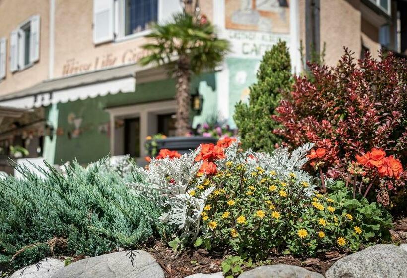 酒店 Weisse Lilie   Giglio Bianco