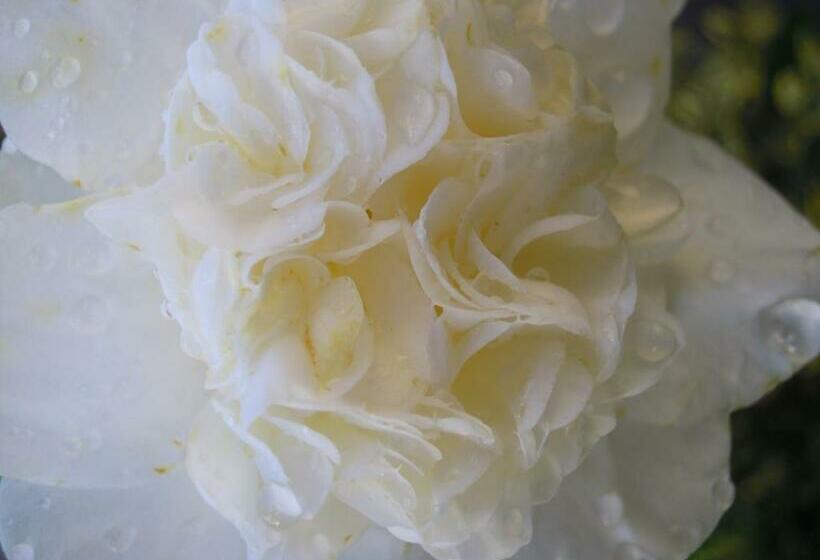 پانسیون Geoglobe Chambre D Hòtes