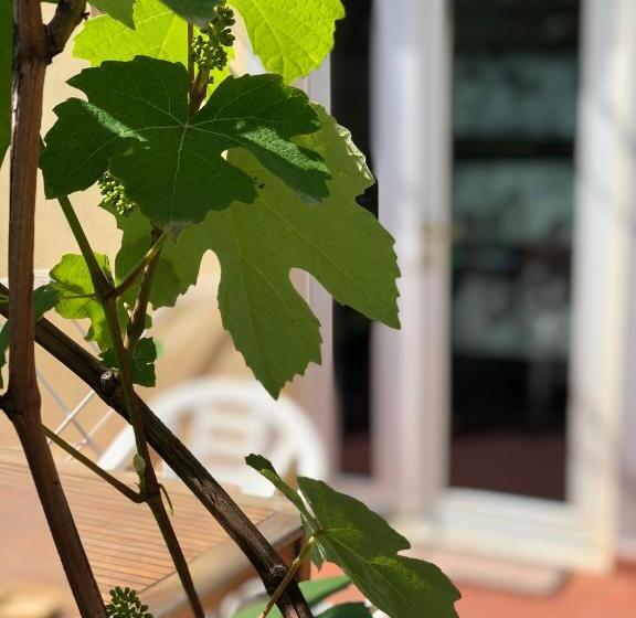 پانسیون Geoglobe Chambre D Hòtes