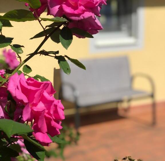 پانسیون Geoglobe Chambre D Hòtes