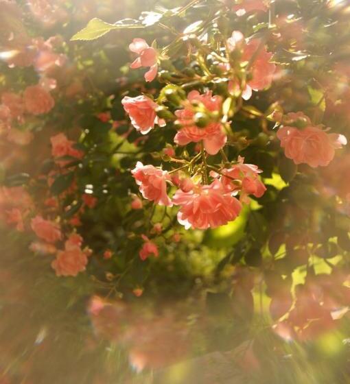 پانسیون Geoglobe Chambre D Hòtes