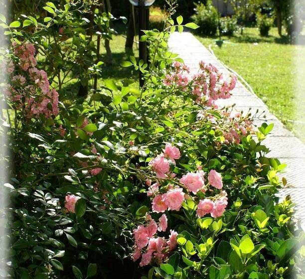 پانسیون Geoglobe Chambre D Hòtes