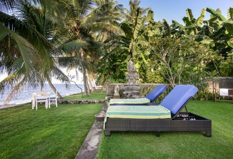 膳宿费 Mojito Beach Villas