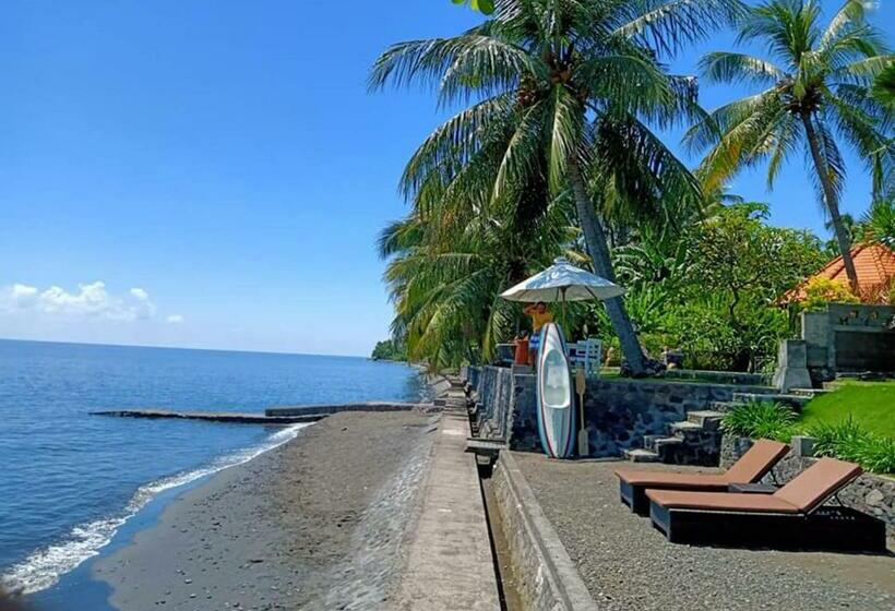 膳宿费 Mojito Beach Villas