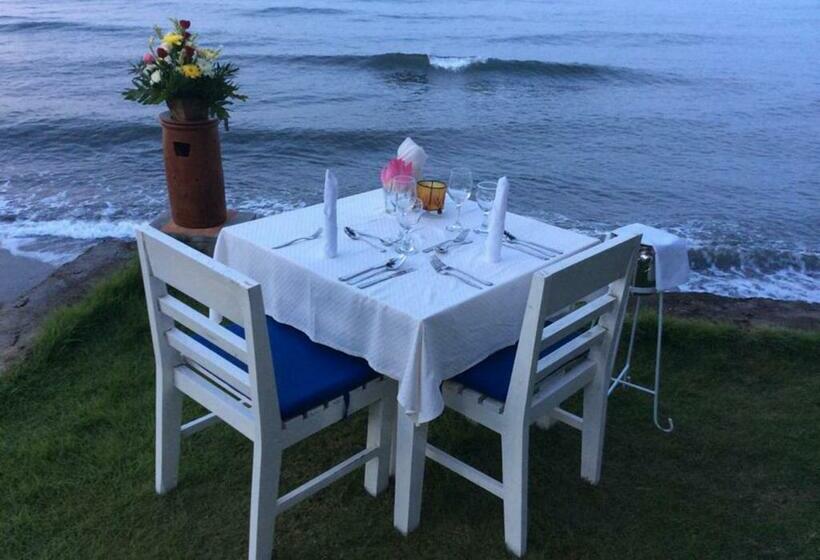 膳宿费 Mojito Beach Villas