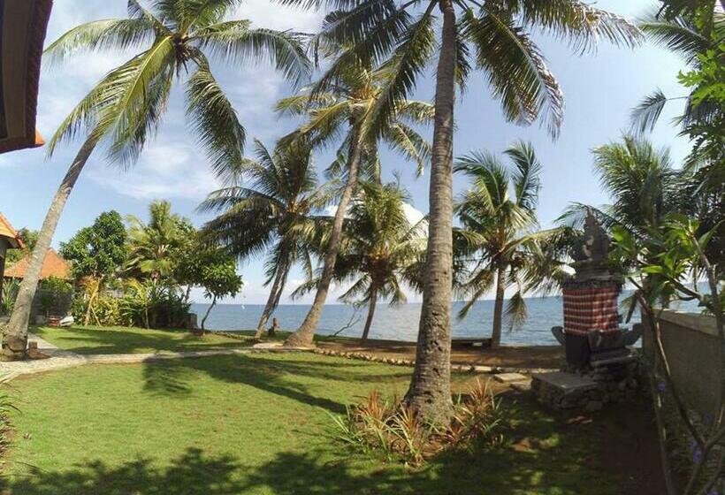 膳宿费 Mojito Beach Villas