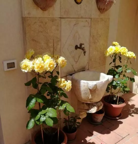 B&b Del Corso