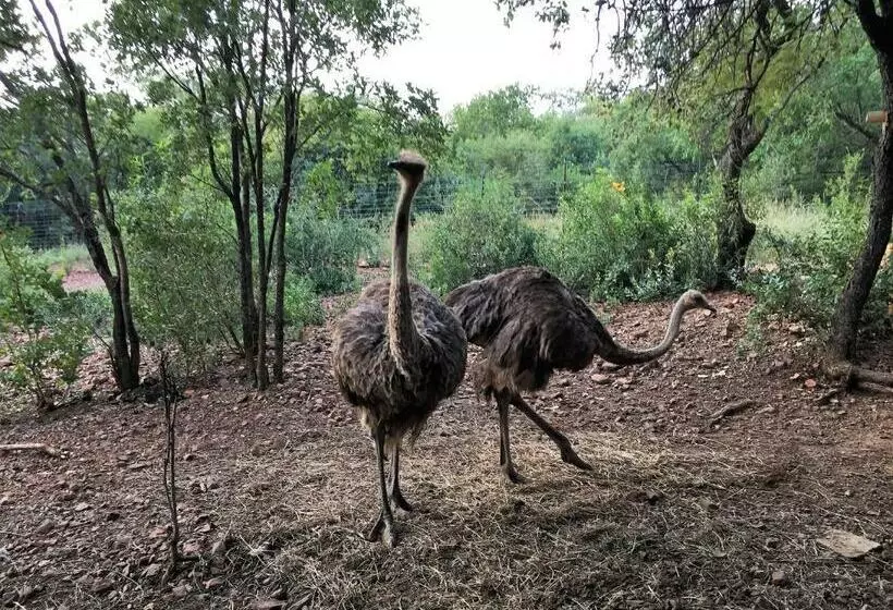 ベッドアンドブレックファースト Concordiavoc