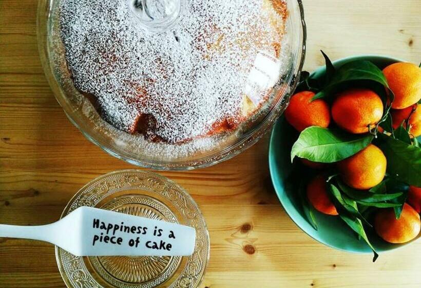 住宿加早餐 Elementa