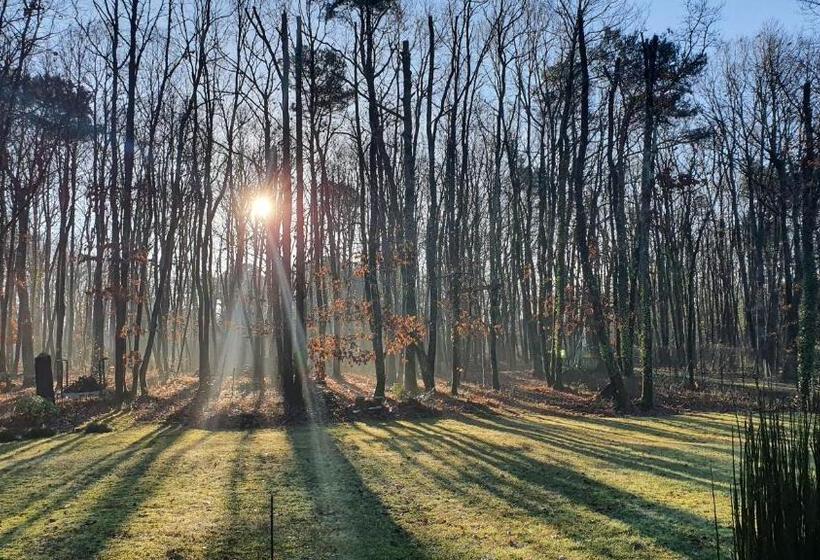 צימר Logis Saponine Chambres D Hôtes Au Calme En Touraine