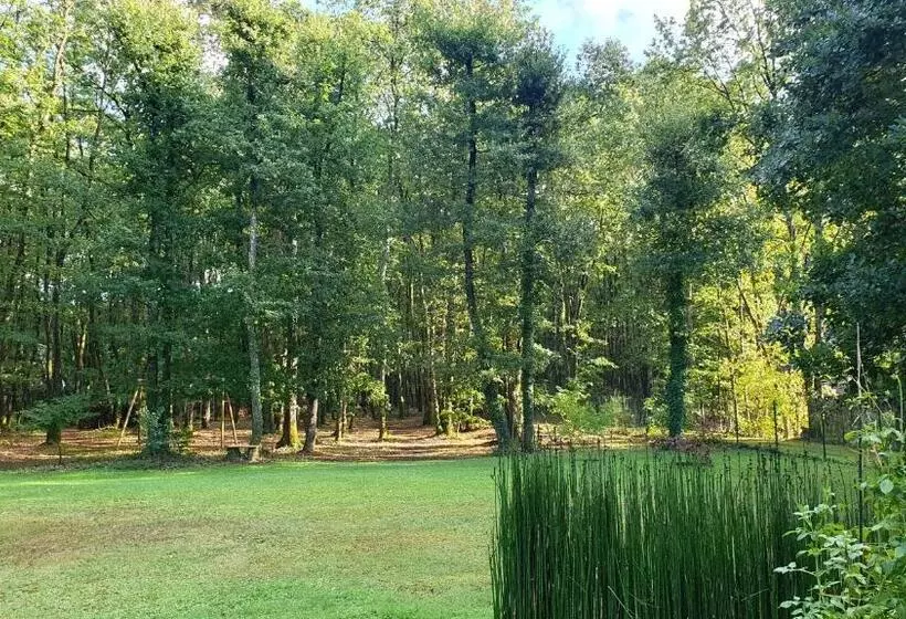 تختخواب و صبحانه Logis Saponine Chambres D Hôtes Au Calme En Touraine