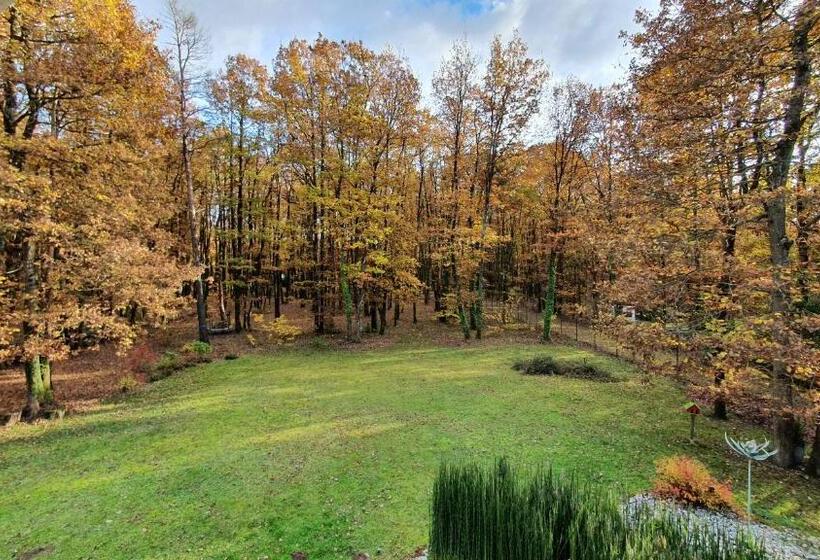 צימר Logis Saponine Chambres D Hôtes Au Calme En Touraine