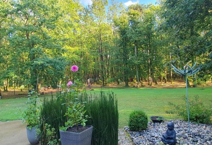 צימר Logis Saponine Chambres D Hôtes Au Calme En Touraine