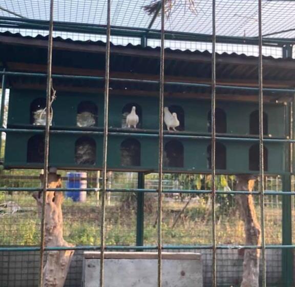 호텔 Ataalaya Farmhouse