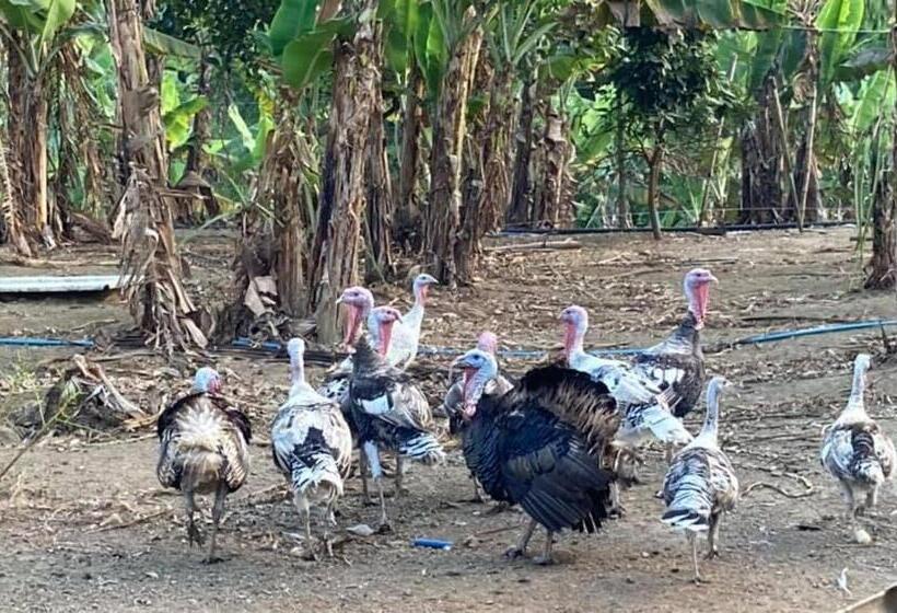 호텔 Ataalaya Farmhouse