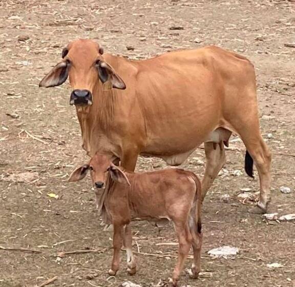 호텔 Ataalaya Farmhouse