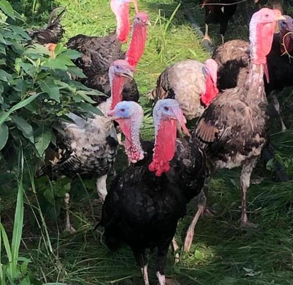 호텔 Ataalaya Farmhouse