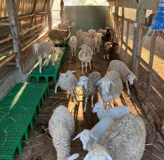 호텔 Ataalaya Farmhouse