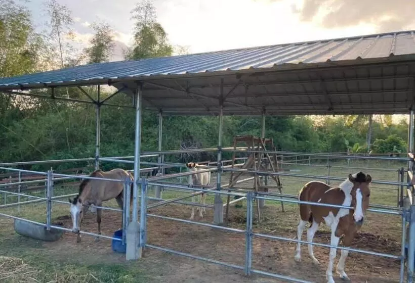 ホテル Ataalaya Farmhouse