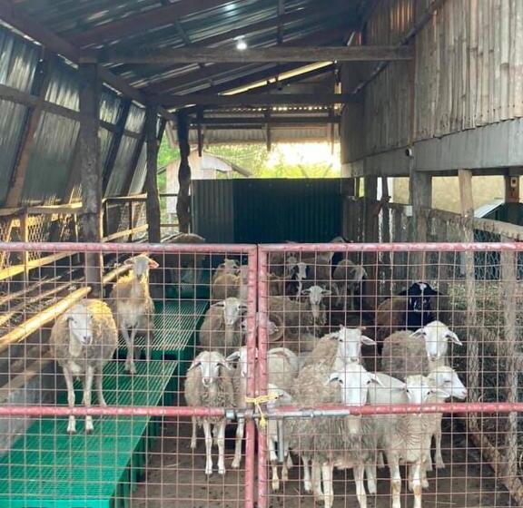 호텔 Ataalaya Farmhouse