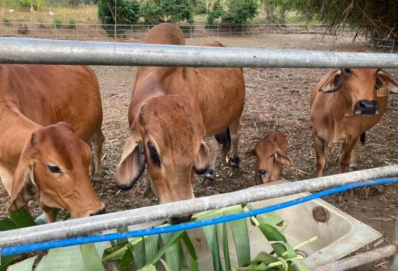 호텔 Ataalaya Farmhouse