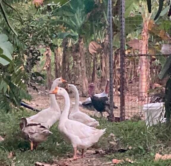 호텔 Ataalaya Farmhouse