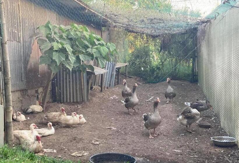 호텔 Ataalaya Farmhouse