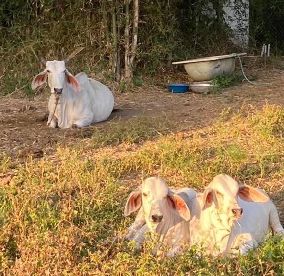 호텔 Ataalaya Farmhouse