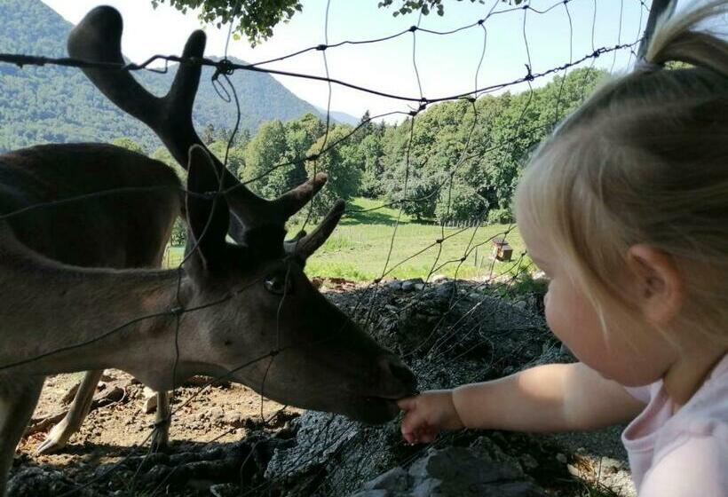 酒店 Jelenov Breg Pod Matajurem