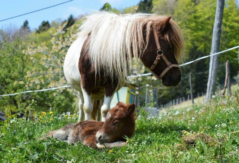 酒店 Jelenov Breg Pod Matajurem